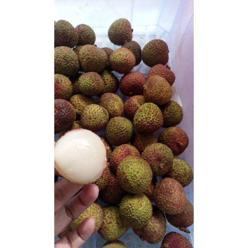 Leci madu 500gram
