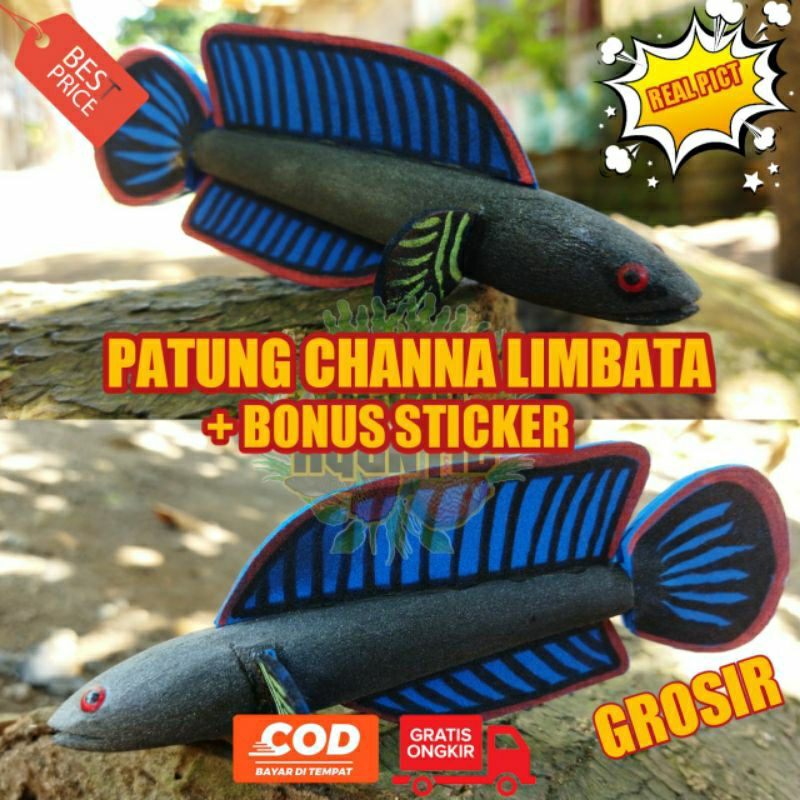 Patung Channa Limbata + Bonus Sticker