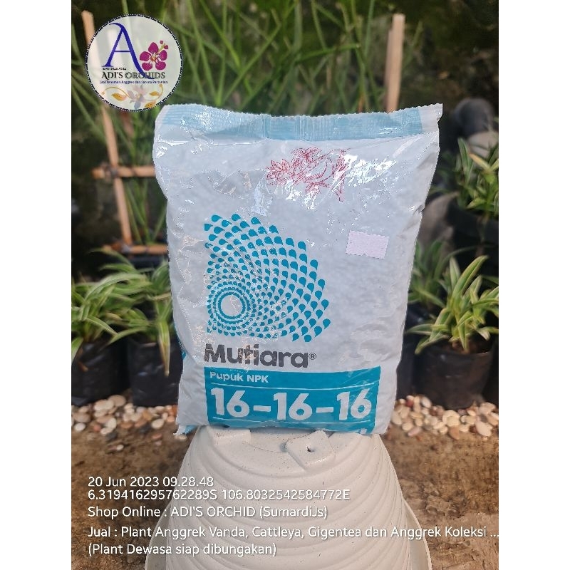 Pupuk NPK 16-16-16 Mutiara