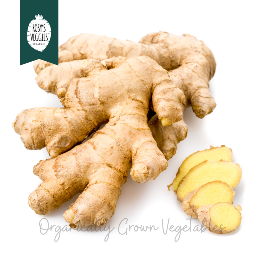 

Jahe Gajah Organik | 250 gr