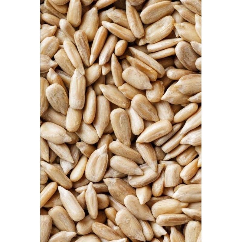 

SUNFLOWER SEED MENTAH / KUACI KUPAS RAW / BIJI BUNGA MATAHARI