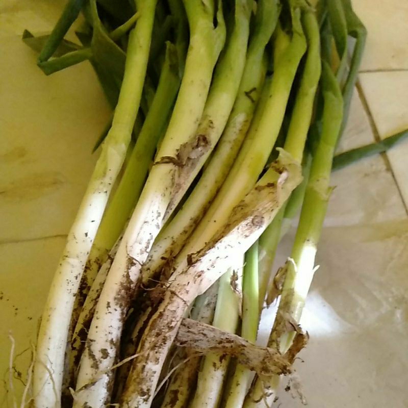 

Sayur Daun Pree bawang Onclang