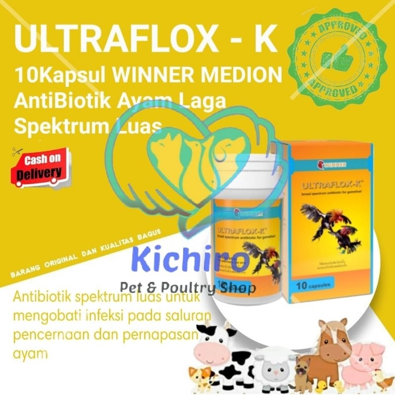 Ultraflox K isi 10 Kapsul Winner Medion Obat Antibiotik Spektrum Luas Untuk Infeksi Pencernaan & Per