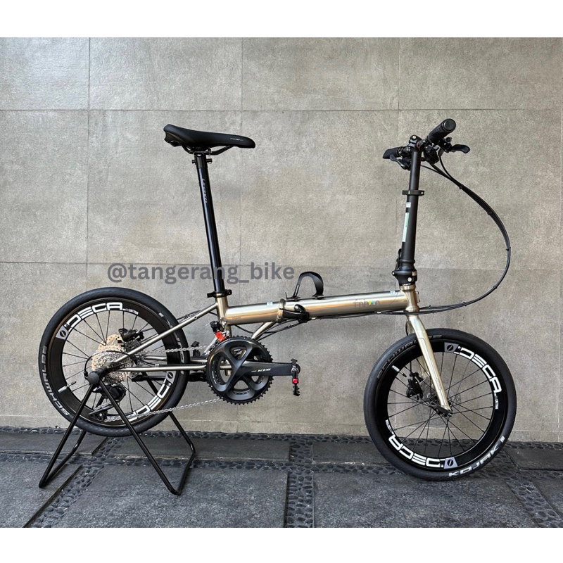 Fnhon Storm Discbrake 20 inchi 22 Speed Titanium