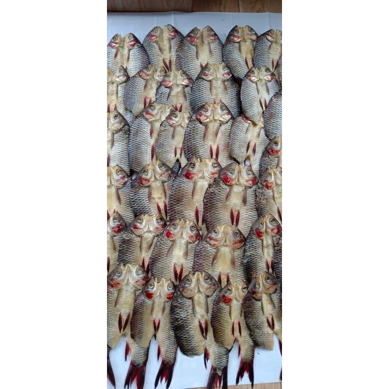 

Ikan asin JELAWAT/ ikan Lomak