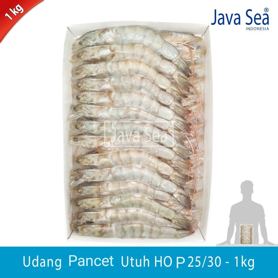 

Udang Pancet Utuh Ada Kepala HO P 25/30 pack 1kg Java Sea