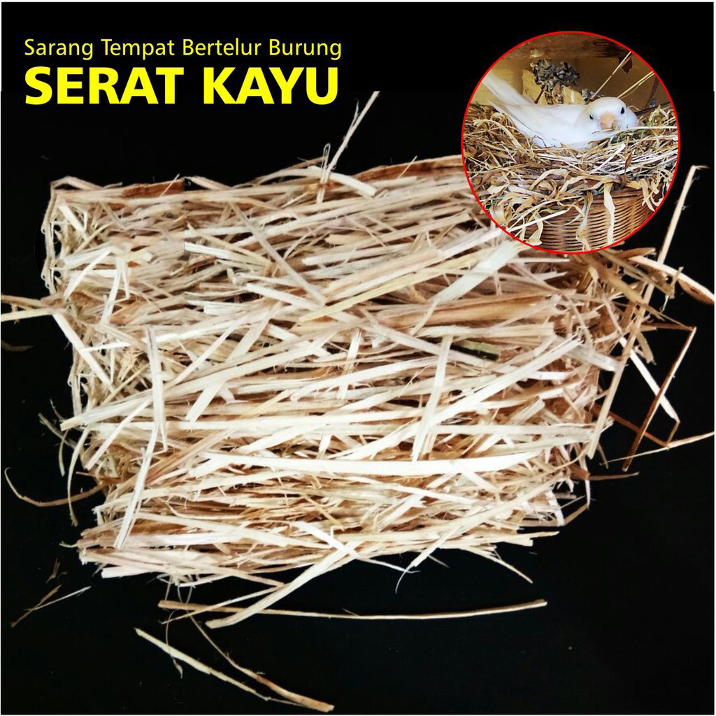 Sarang Serat Susuh Serut KAYU LUTINO Alas Telur Telor Burung Kicau Lovebird