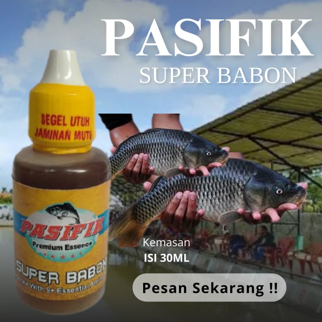 Essen Ikan Mas Pasifik Super Babon