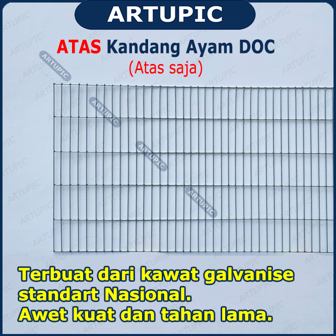 Atas Kandang Ayam DOC Kawat Galvanise Artupic HANYA ATAS SAJA