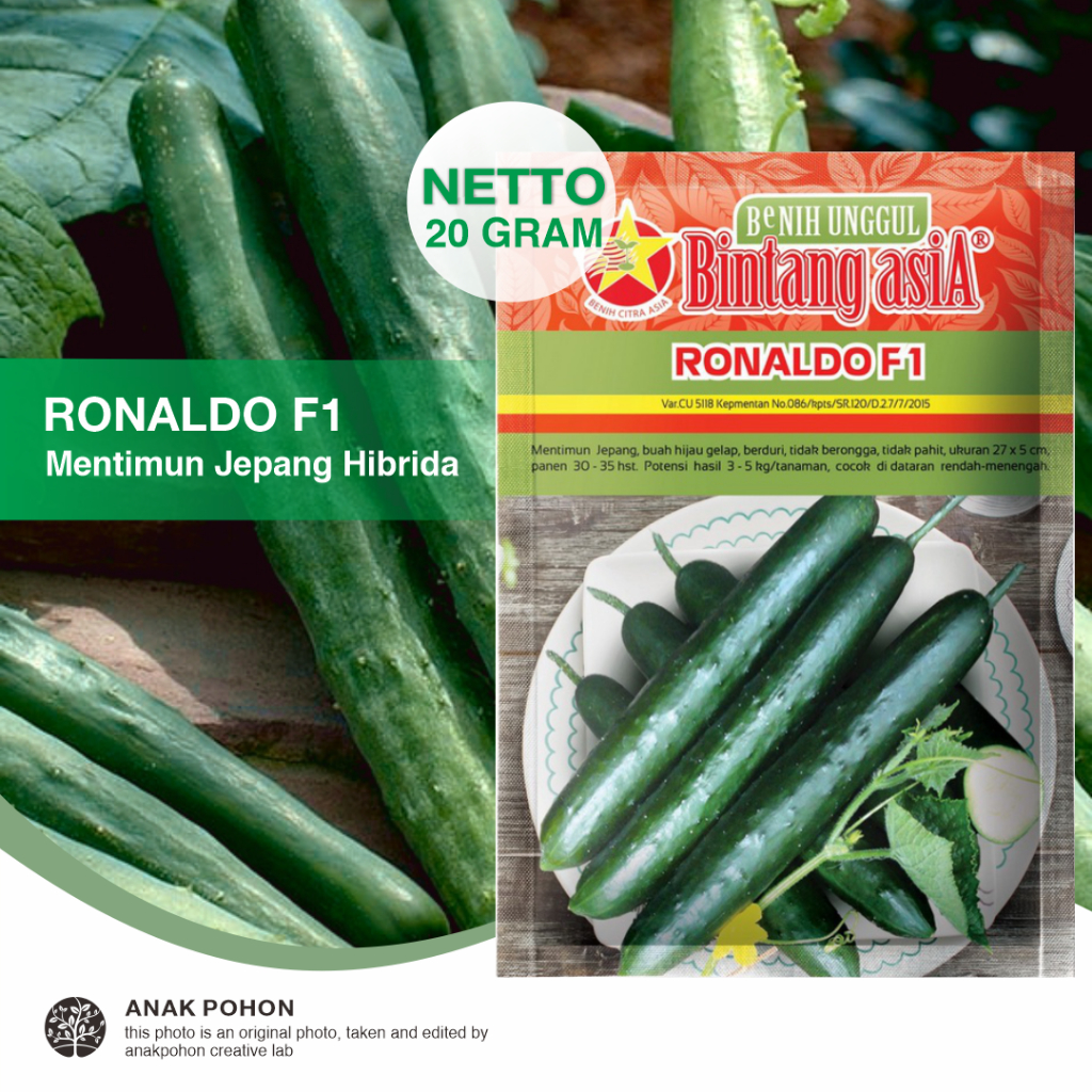 (1 PACK) Benih Mentimun Jepang RONALDO F1 Timun Kyuri Japanese Cucumber Hibrida Seeds - Bintang Asia - 20 GRAM