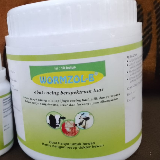 Wormzol B  isi 10 bolus - Obat cacing sapi, kerbau