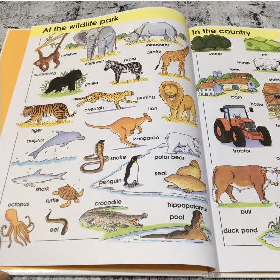 BUKU ANAK - YOUNG LEARNERS PICTURE DICTIONARY