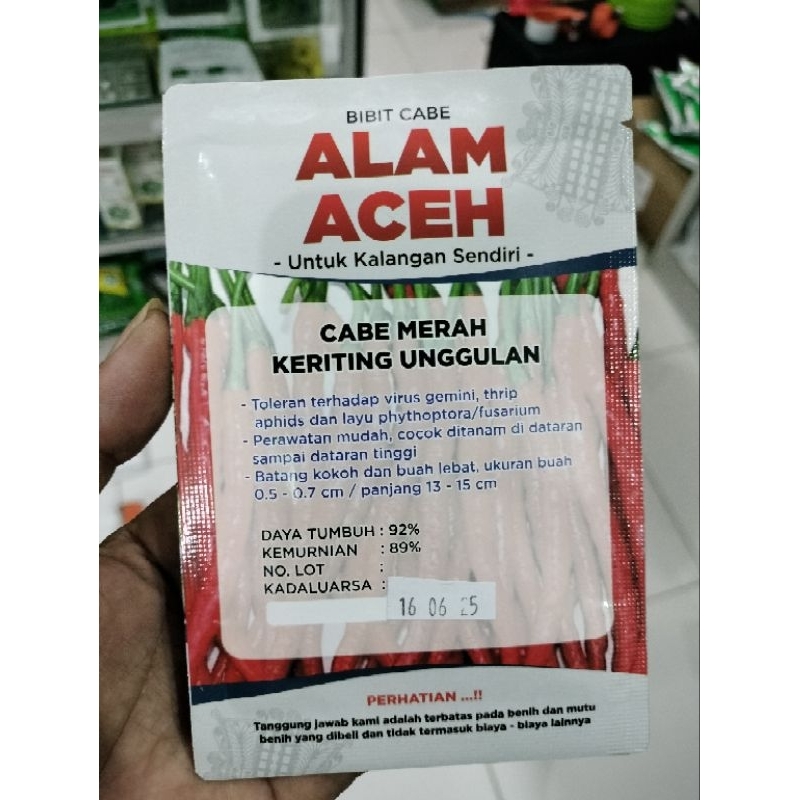 Cabe Alam Aceh 10gr Tahan Virus Lokal Aceh Buah Lebat Mudah Diurus