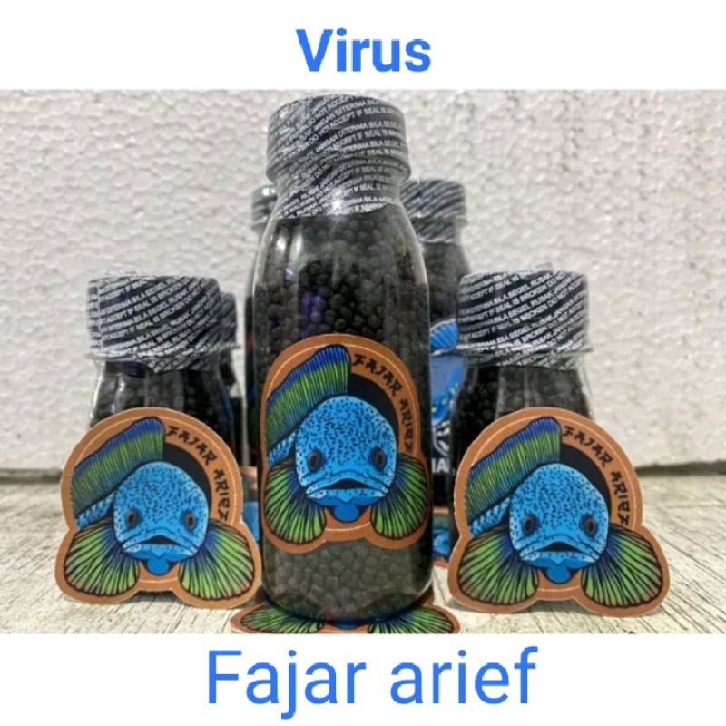 PELET VIRUS ORIGINAL FAJAR ARIF GRADE AAA  KWALITAS TERJAMIN