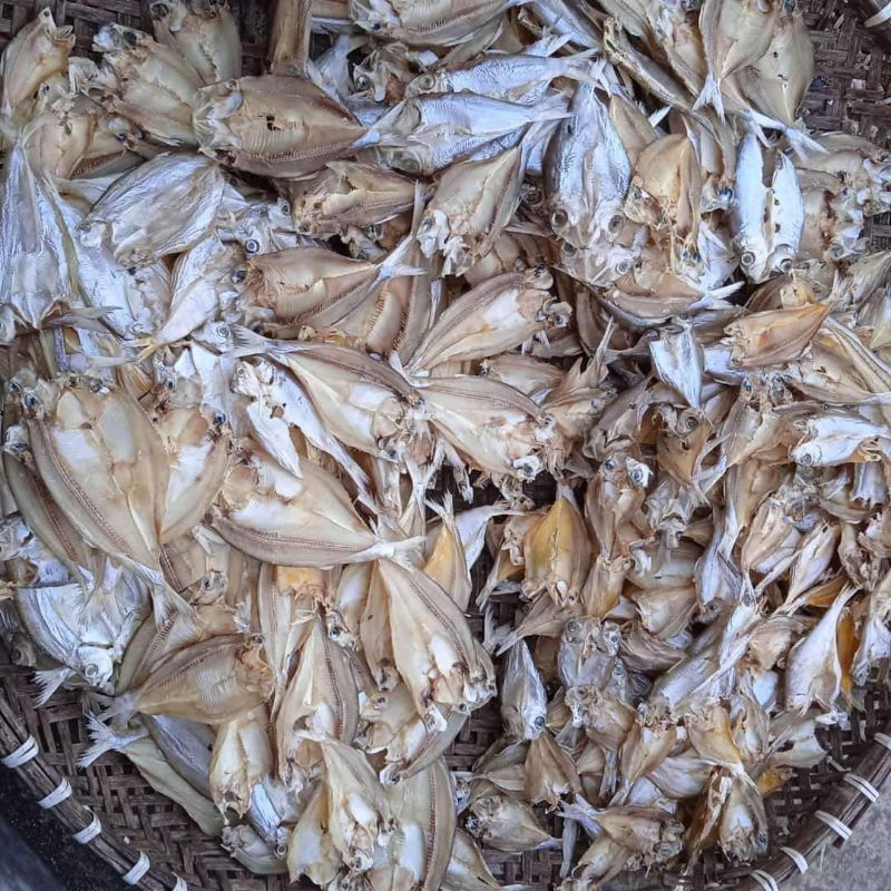 

ikan laut asin