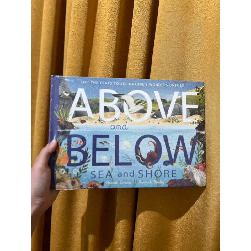 above and below sea and shore