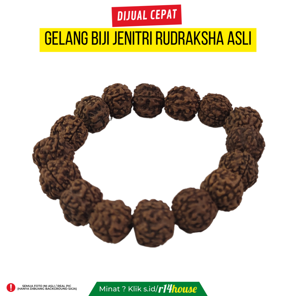 GELANG BIJI JENITRI RUDRAKSHA ASLI