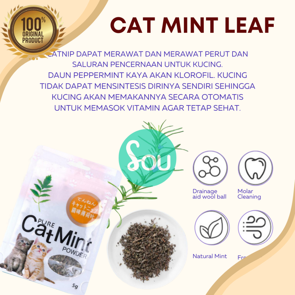 Catnip Camilan Kucing Catmint Menthol Snack Makanan Cat Kitten