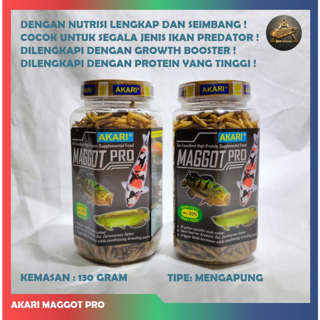 AKARI MAGGOT PRO MAGGOT KERING PAKAN AKARI MAGGOT PRO BOOSTER WARNA IKAN PREDATOR MAGGOT KERING CHANNA PAKAN IKAN CHANNA PELET CHANNA PAKAN IKAN PREDATOR MAGGOT KERING MERAH KUNING BIRU BOOSTER WARNA IKAN CHANNA PAKAN IKAN PREDATOR