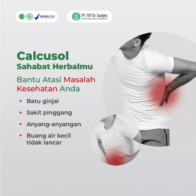 Calcusol 100 kapsul Mengatasi Batu Ginjal