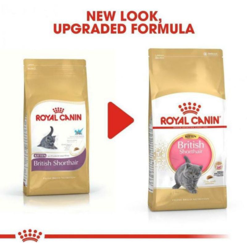 Royal Canin Kitten British Shorthair 400GR | rc canin kitten british shorthair