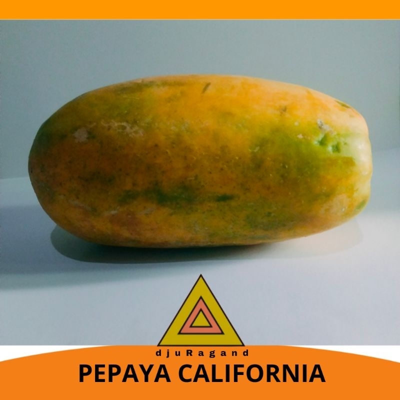 

Pepaya California Per buah