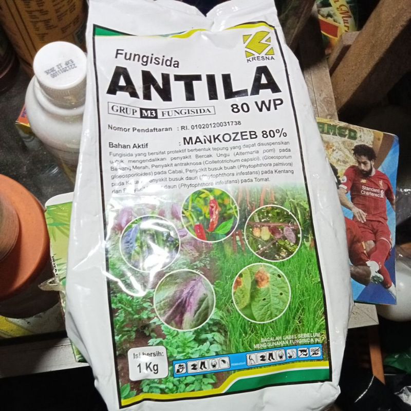 ANTILA 80 WP 1 KG