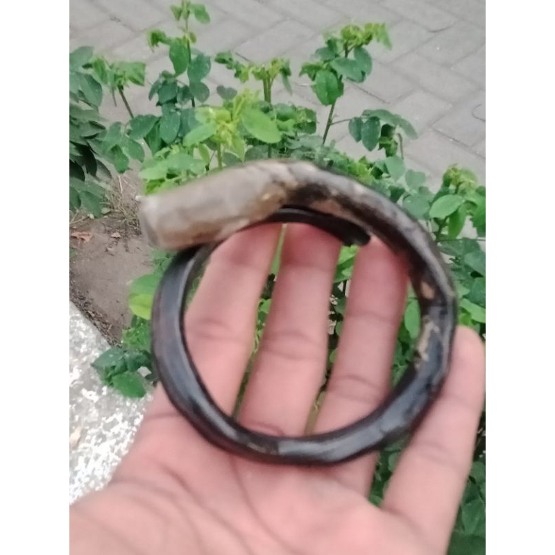 Gelang akar bahar hitam bonggol unik