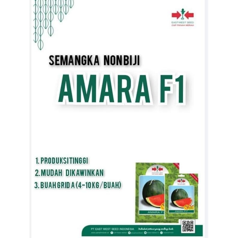 BENIH SEMANGKA NON BIJI AMARA F1 ISI 360 BUTIR PANAH MERAH