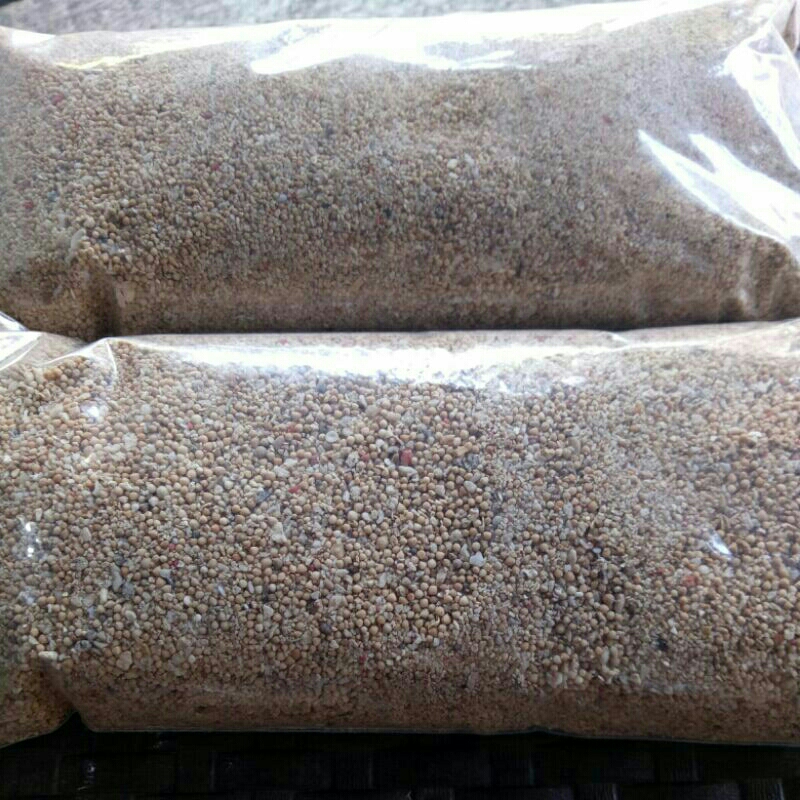 pasir bali - pasir hiasan aquarium