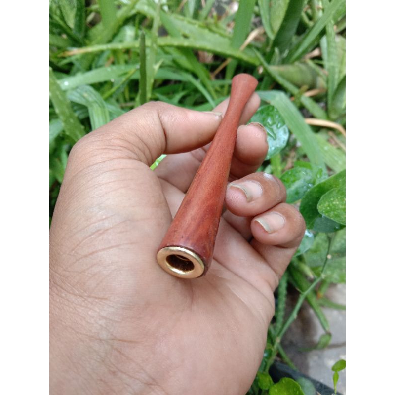 Once pipa cangklong kayu nagasari