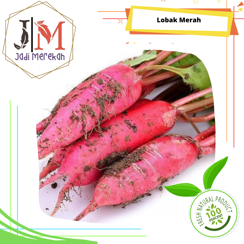 

[JM SoFresh] - Lobak Merah / Red Radish
