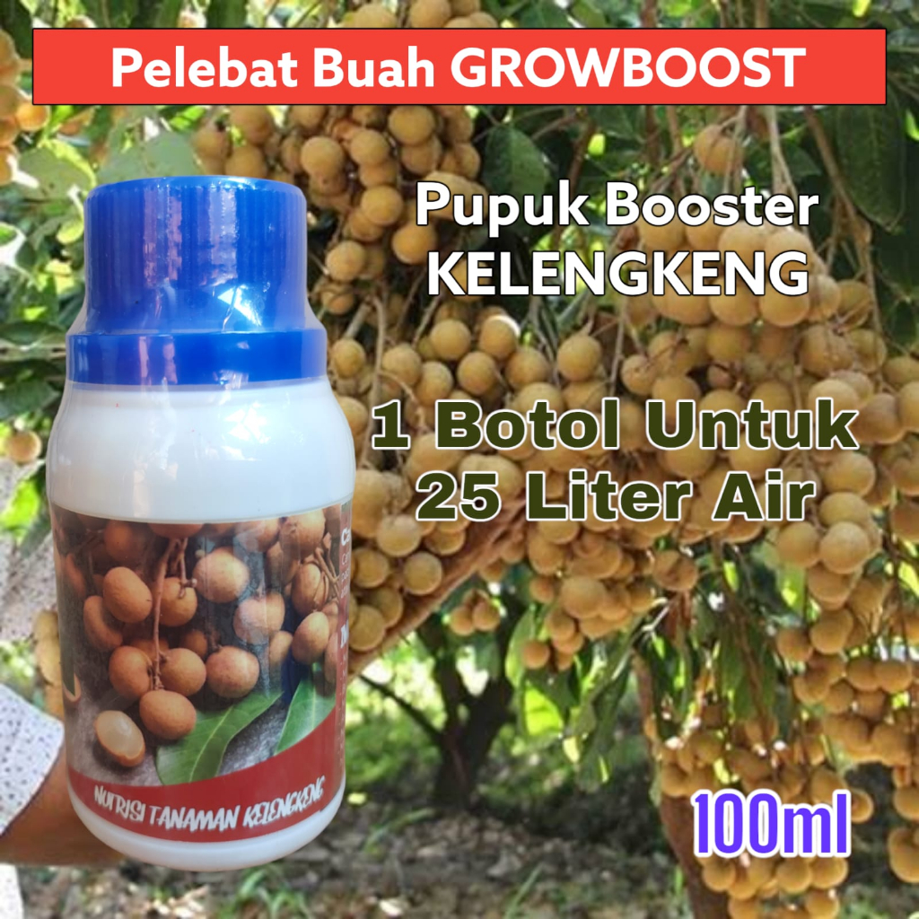 Pupuk Buah Kelengkeng Premium Organik GrowBoost Buah Kelengkeng 100ml