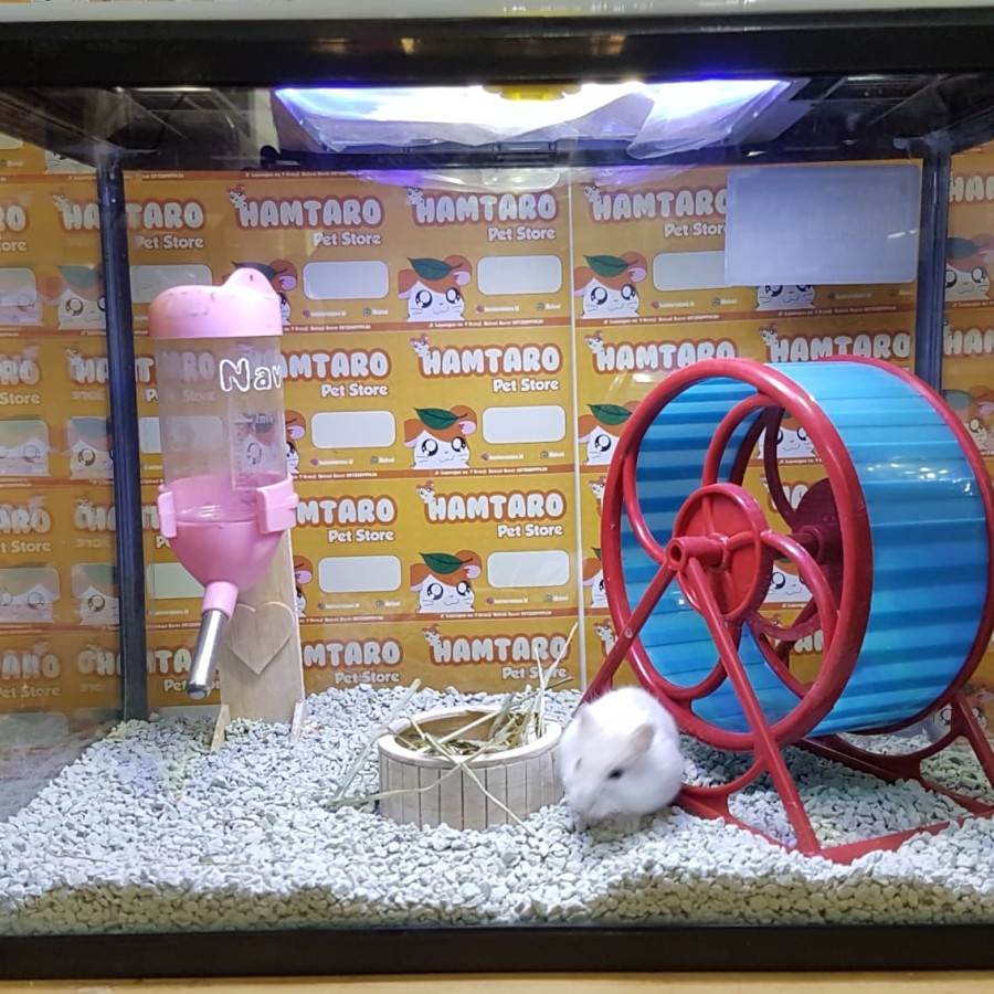 terarium kandang hamster aquarium paket hemat