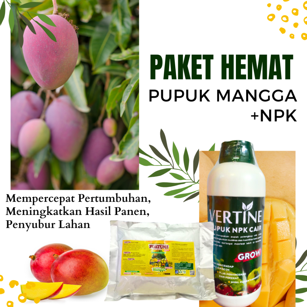 Obat Pelebat Buah Mangga NPK Cair, Pupuk Perangsang Mangga Biar Cepat Lebat