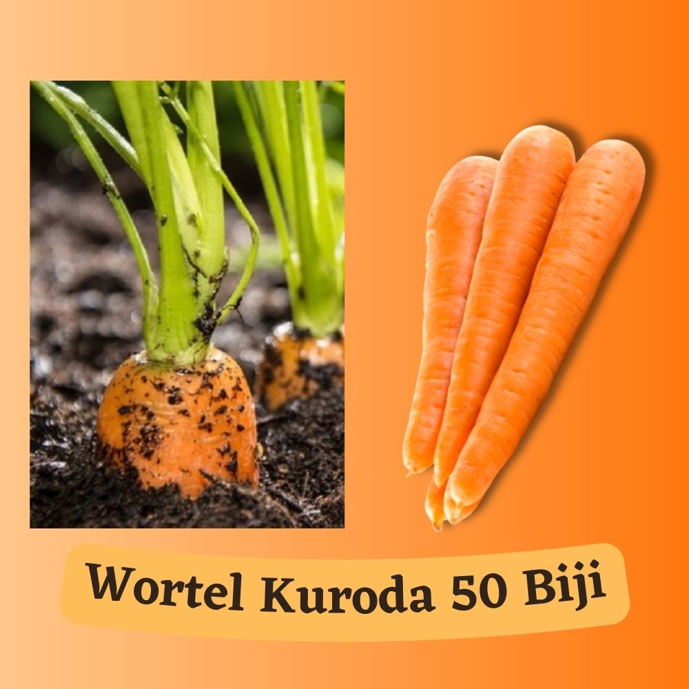 Bibit Wortel / Benih Sayuran