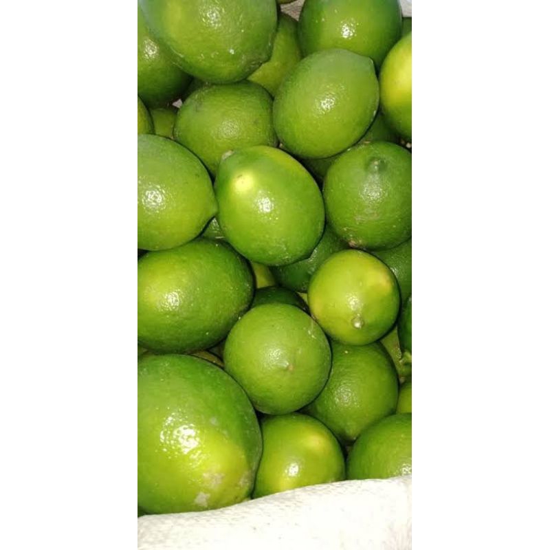 

lemon kalifornia hijau