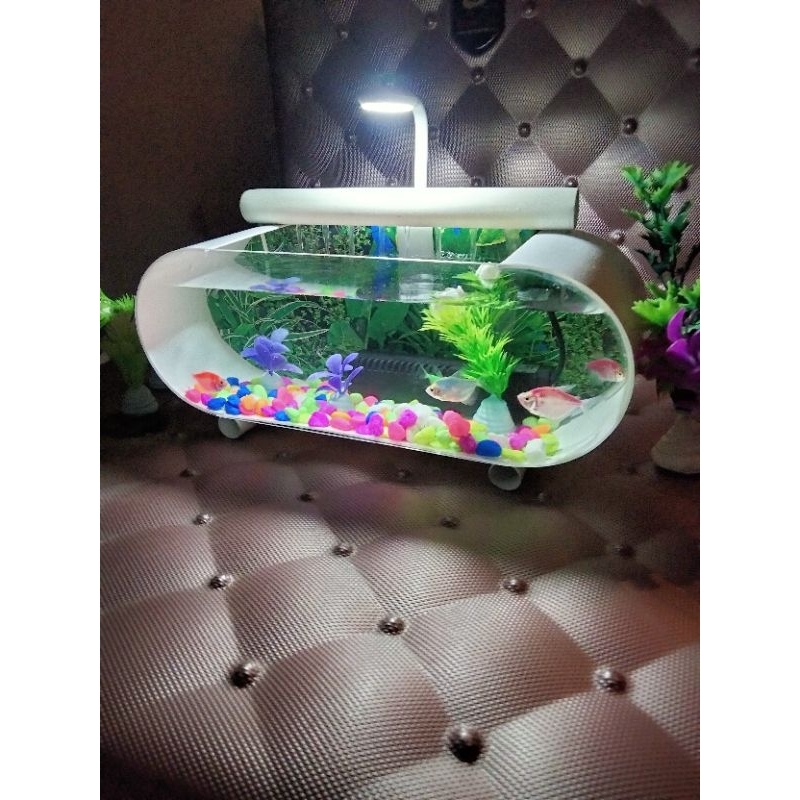 akuarium mini  air terjun