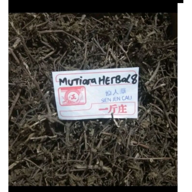 Daun cincau hitam 1kg / bahan liang teh Premium