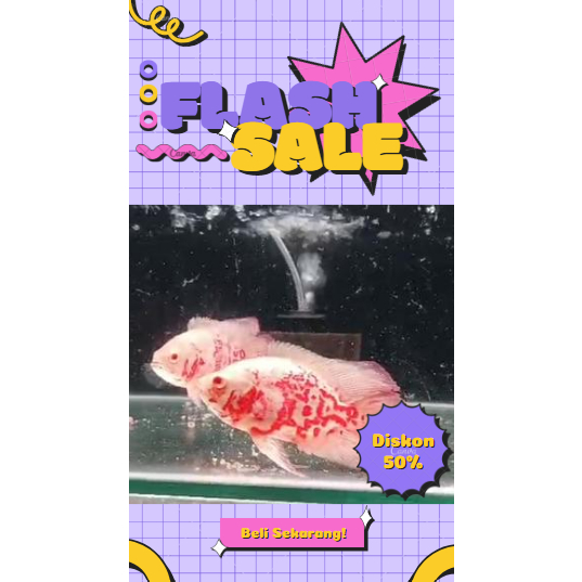 Oscar Batik Albino Slayer 3-4 Jari Grade A