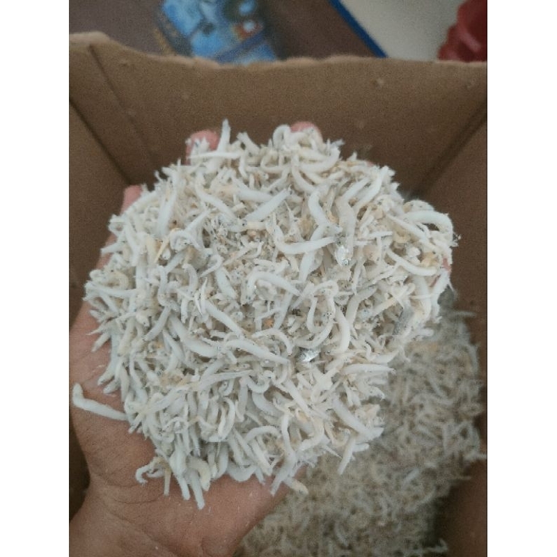 

Teri Medan