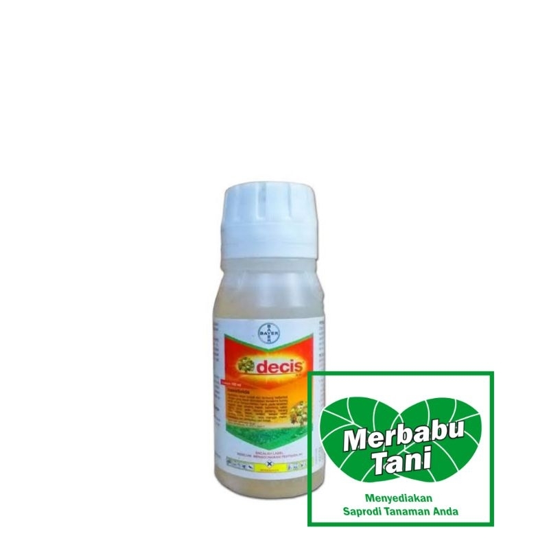 DECIS 100 ML