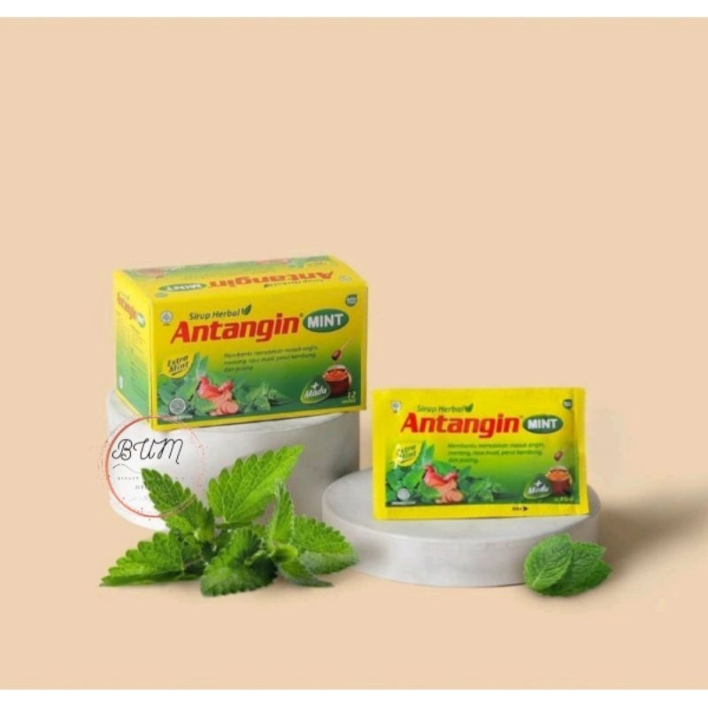 Antangin Syrup Mint 12 sachet Terlaris &amp; Termurah