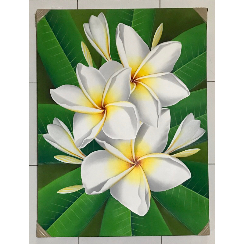 Lukisan Bunga Kamboja, Lukisan Realis, Lukisan Kanvas, Hiasan Dinding Ukuran 60 x 80 cm 100% Buatan 