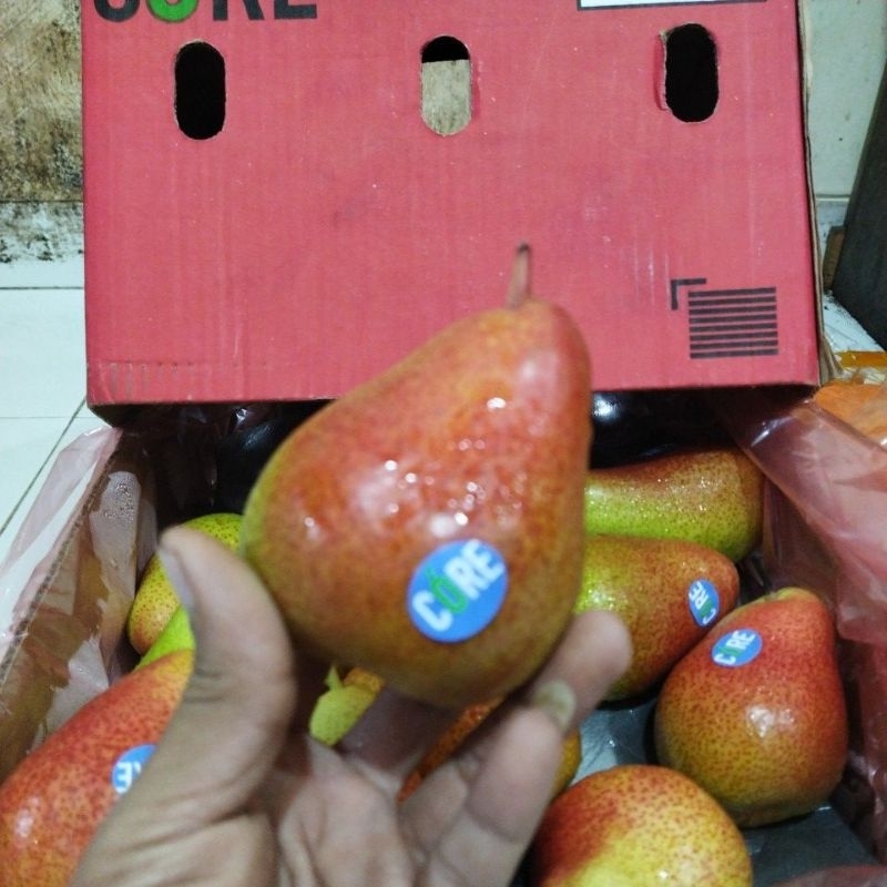 

buah pir cheky pear forelle / kg