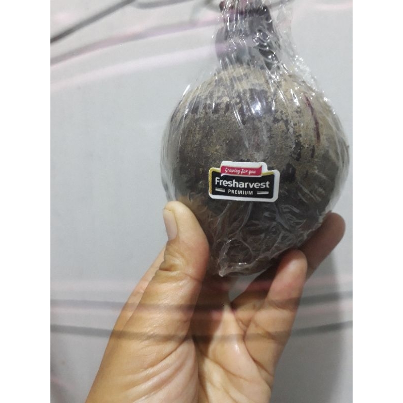 

Buah Bit Buah Beat 1kg (1000grm)