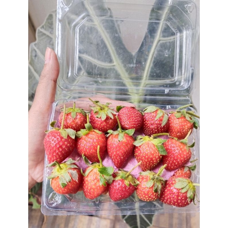 

Strawberry Fresh 250gr