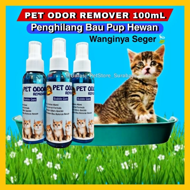 GPSS- Pet Odor Remover 100mL Penghilang Bau Kotoran Hewan Kucing Anjing Kelinci Pee Cleaner 100mL Penghilang Bau Kotoran Kucing Penghilang Bau Pesing Kucing Anjing Disinfektan Kandang Penghilang Bau Kandang Hewan Kucing Anjing Penghilang Bau Pup Kucing