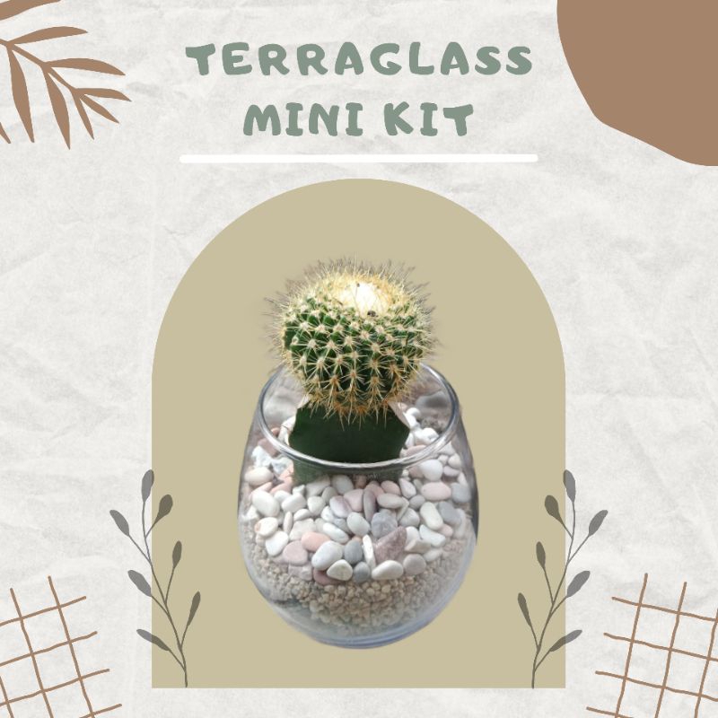 Terarium - Terraglass mini kit & Terarium air