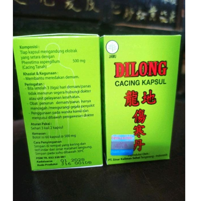 Dilong Cacing Kapsul